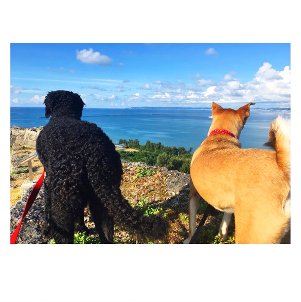 ilu098,okinawa,沖縄旅,アイル,沖縄旅行,おきなわ,ginowanhillsstreet,ぎのわんヒルズ通り,普天間,宜野湾,おきなわTシャツ,