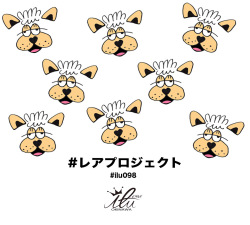 ilu098,レアプロジェクト,沖縄,譲渡犬,保護犬,愛犬家,沖縄犬,アイル犬,